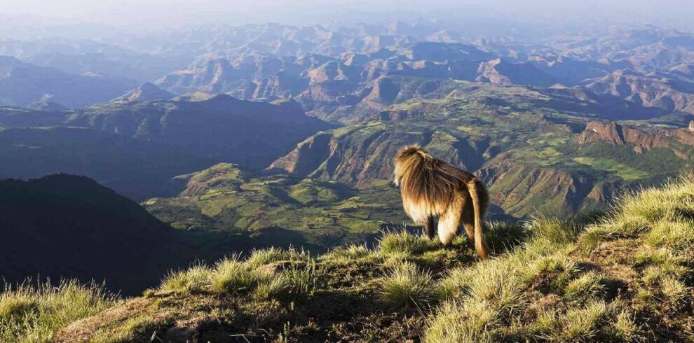 destination-north-ethiopia-simien
